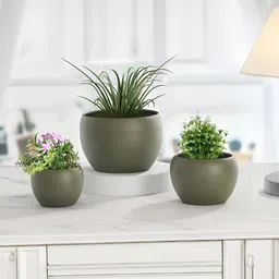 Homspurts Apple Bowl Planter Green 3 Pieces Metal Planters-image-70