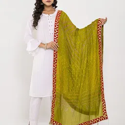 Apratim Printed Foil Print Dupatta with Mirror Work-8