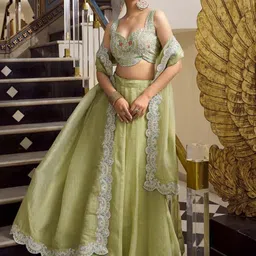 LOOKNBOOK ART Ready to Wear Organza Lehenga & Unstitched Blouse With Dupatta-image-56