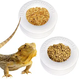 hasthip Reptile Feeding Box for Bearded Dragons Leopard Geckos Worms Insects Water Bowl Polypropylene Pet Bowl-picture-13