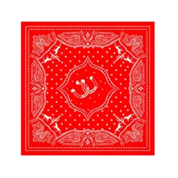 ULOS Women Printed Scarf-50