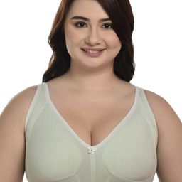 elina Full Coverage Underwired Cut and Sew Minimizer Bra-28