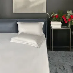 ERBA Beige King Bedsheet with 2 Pillow Covers-image-99