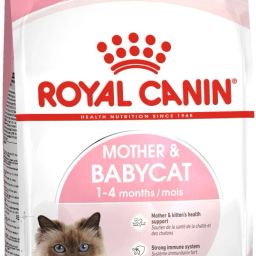 Mother & BabyCat 1.2 kg Dry New Born Cat Food-image-12