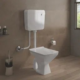 S Trap European Water Closet Western Commode-image-59