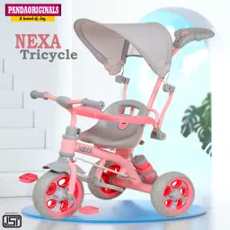 3 IN 1 With Canopy, Parent Handle, Sipper, Footrest, Safety Railing Tricycle-6