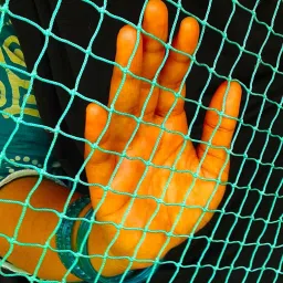 i geon UV Stabilized Nylon Pigeon Net_Bird Net_Monkey Net_6 X 10 Feet_Green Color Camping Net image 4