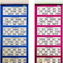 TAMBOLA Tickets BOOK (1200 tickets) Ticket book Set for Ladies Kitty/Picnic Party & Fun Board Game-16
