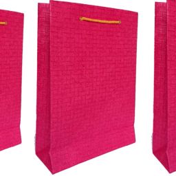 Solid Party Bag-11