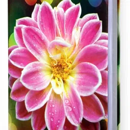 AlbumsPinkFlower_4*6_104Photos Album-image-68