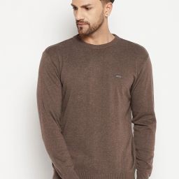 Men Solid Round Neck Brown Sweater-image-70