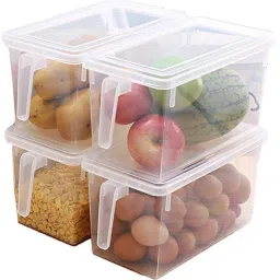 Plastic Fridge Container- 3 L-11