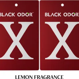 Lemon Car Freshener Blocks-38