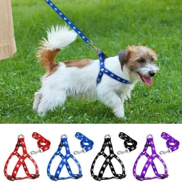 Nylon Puppy Harness for Small & Medium Dogs Colour May Vary (0.75-inch) Dog Buckle Harness-23
