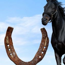 100% Original Black Horse Shoe Kaale Ghode ki Naal Mantra Siddh with Shabar Mantra Cast Iron Yantra Iron Yantra-12