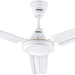 Racer (1 Star) 1 Star 1200 3 Blade Ceiling Fan-image-63