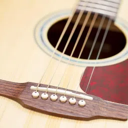 mocking bird Acoustic Replacement Guitar String Set with Saddle Set & Picks for Acoustic Guitar Guitar String image 2