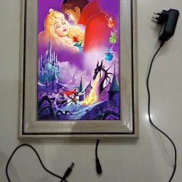 , CINDERELLA MODAL NO-45 , 15.5 inch LED PHOTO FRAME-image-88