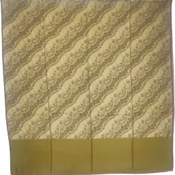 Sprha Wool Woven, Paisley Women, Men Shawl-image-71