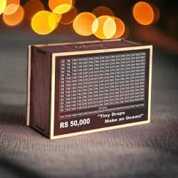 Wooden money Saving Box,Cash Saver Money Box with Counting Target,Piggy Bank box Coin Bank-image-84