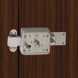 Steel Glossy Deadbolts-13