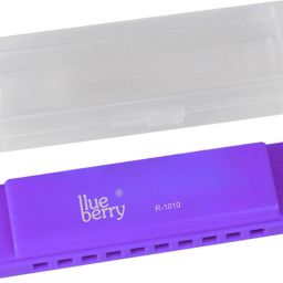 R-1010-PURPLE, Key C , 10 Holes Blues Harp Educational Mouth Organ Harmonica-image-88