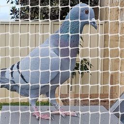 benavji BE-Birdnet10X55FT-PK1 Insect Net image 4