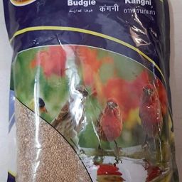 Toya All Life Stages Vegetable Flavour Bird Food Seeds (Kangni) - 1000 Gram 1 kg Wet Adult, Senior, Young Bird Food-image-53