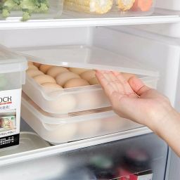 Plastic Egg Container- 2 dozen-image-12