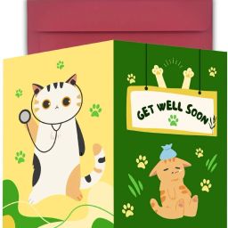 Get Well Soon Gift 5.8 x 8.3inch A5 Size with Envelope Prewritten Message Inside Greeting Card-41