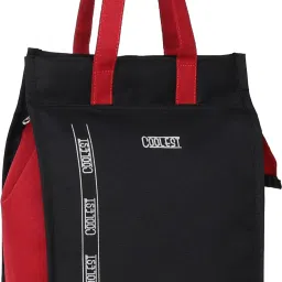 Lunch Tiffin Bag LBC-02-BLACK for School Office Picnic Waterproof Lunch Bag-image-73