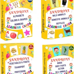 All in One Flash Cards for Early Learning of Kids (4 Boxes)-10
