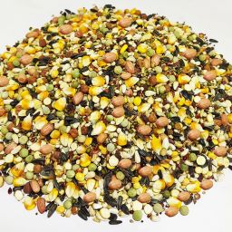 Multi Mixed Seeds Natural Nuts 1 kg Dry Adult Bird Food-image-76