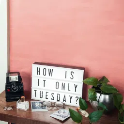 aec USB and Battery Powered Cinematic Lightbox Led Changeable Letter & Symbols Tiles, A4 Size, Symbols Table Lamp image 4