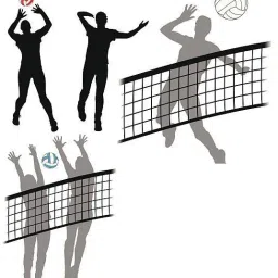 vellfire 2 Side Volleyball net / Tournament Volleyball net Volleyball Net image 2