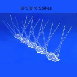 Bird Spike-picture-32