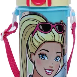 Classic 450 ml Water Bottle-image-53