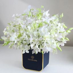 Crown Of White Orchids-image-35