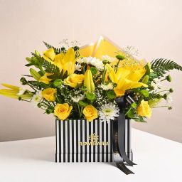 Box Of Sunshine Dreams-12
