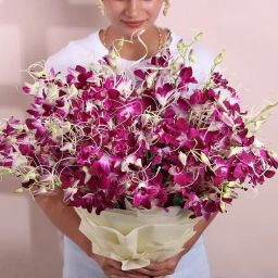 A Song Of Wild Violet Elegance-image-27