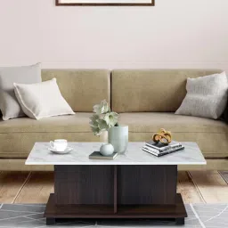 nilkamal Luna Coffee Table in Ash Wenge Finish-picture-38