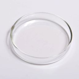 Glass Reusable Petri Dish-picture-27