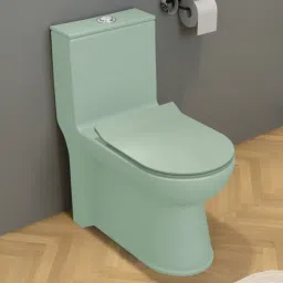 Rimless Ceramic 1 Piece Toilet & Soft Close Seat-S Trap (APS-746-LEXUS) Western Commode-11