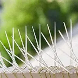 Bird Spike-16