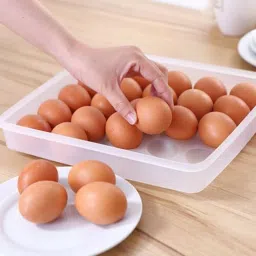 dungrani enterprise 24 Grids Plastic Egg Box Container Holder Tray for Fridge with Lid for 2 Dozen 24 Eggs Storage Box With Lid for 24 Eggs Container Plastic Egg Separator (Clear, Pack of 1) Plastic Egg Separator Set image 3