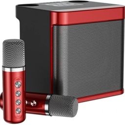 dkian Karaoke Dual Mic Bluetooth Speaker Stereo Bass Subwoofer Party 100 W Bluetooth Party Speaker-image-36