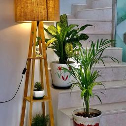 Tripod Floor lamp-7