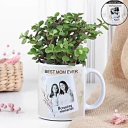 Personalised Jade Plant For Mom-32