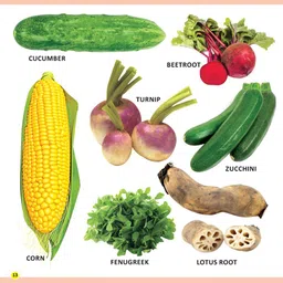 Dreamland My First Library Fruits & Vegetables : Early Learning Book for kid image 3