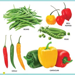 Dreamland My First Library Fruits & Vegetables : Early Learning Book for kid image 4